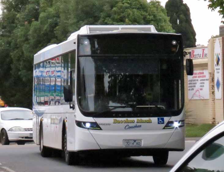 Bacchus Marsh Volvo B7RLE Volgren Optimus 14